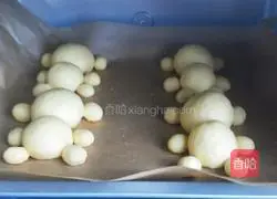 Illustration of how to make bear bread 8