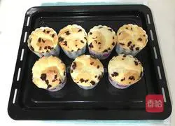 Cranberry Cup Cake Recipe Illustration 18