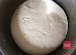 Durian pizza recipe 5