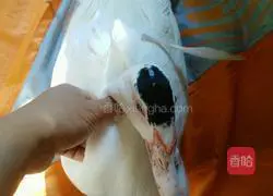 Illustration of how to make Zhanjiang white-cut duck 1