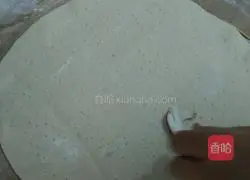 Illustration of how to make mushroom and minced meat and ham pizza 8