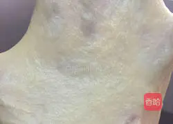 Flower Bread Recipe Illustration 5