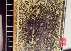 Black Sesame Cake Roll Recipe Illustration 8