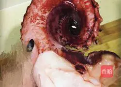 Curry Squid Recipe Illustration 1