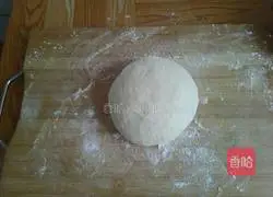 Illustration of low-temperature fermentation pizza crust 8