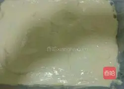 Mango Cake Roll Recipe Illustration 9