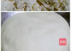 Pumpkin pot stickers recipe 1