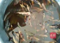 Illustration of how to make lazy hemp food 1