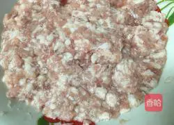 Illustration of braised gluten in braised oil 3