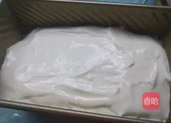 Gold Pillow Cake Recipe Illustration 22