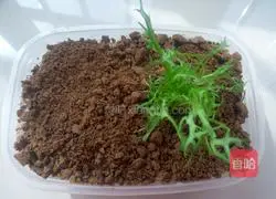 Illustration of how to make earthworm box cake 6