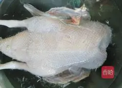 Illustration of how to make Zhanjiang white-cut duck 4
