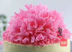 Illustration of the world's most authentic Carnation method 15