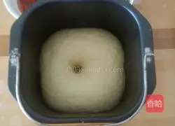 Cream Mushroom Grilled Chicken Cheese Pizza Recipe Illustration 11