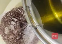 Chocolate Ancient Grass Cake Recipe Illustration 5