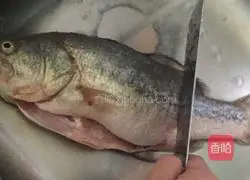 Illustration of home cooking of steamed seabass 1