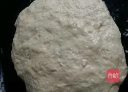 Illustration of how to make mushroom honey sauce ham and bacon pizza 3