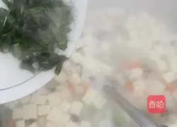 Assorted Tofu Soup Recipe Illustration 7