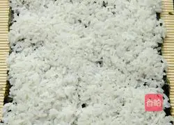 Illustration of how to make tuna sushi 4