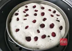 Cranberry Hair Cake Recipe Illustration 6