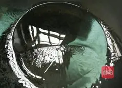 How to cook chicken legs braised with potatoes Illustration 7