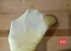 Pumpkin Bread Recipe Illustration 5