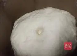 Meeted Braised Pork Patties with Pickled Vegetables Illustration of how to do it 6