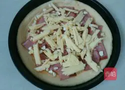 Assorted pizza recipes 7