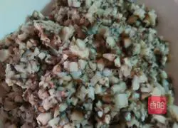 Illustration of how to make crispy beef dumplings 4