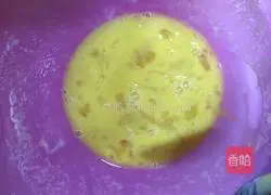 Chicken Roll Recipe Illustration 6