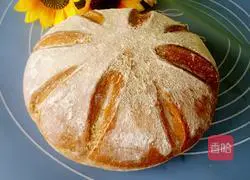 Daliaba Whole Wheat Bread Recipe Illustration 8