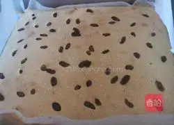 Cake embryo recipe 14