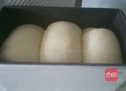 Milk Toast Recipe Illustration 8