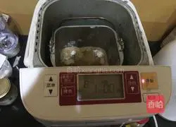 Top European bread--Illustration of making rye cheese balls 1