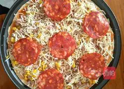 Homemade Pizza Illustration 11