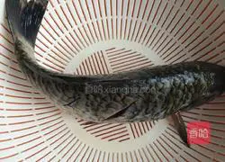 Illustration of how to make sweet and sour crucian carp 1