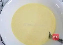 Mango Melaleuca Recipe Illustration 7