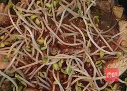Illustration of how to stew spicy fish with soybean sprouts 12