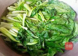 Illustration of how to make shrimp and rapeseed 2