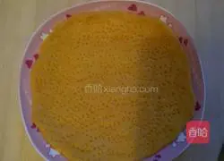 Assorted pizza recipes 2