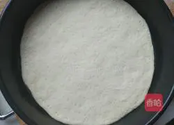 Assorted pizza recipes 1