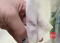 Illustration of how to make assorted wontons 8