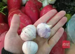 Authentic Spicy Chicken Recipe Illustration 5