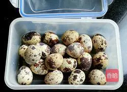 Yuanbao Pork Illustration of how to do it 4