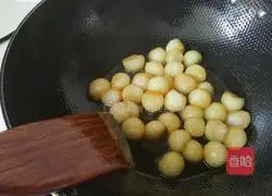 Illustration of Braised Winter Melon Balls 4