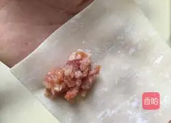 Illustration of how to make assorted wontons 7