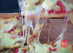 Assorted pizza recipes 18