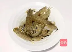 Steamed Pipi Shrimp Illustration 1