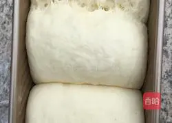 Illustration of how to make yogurt bread 6