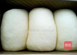 Toast bread Practice illustration 17